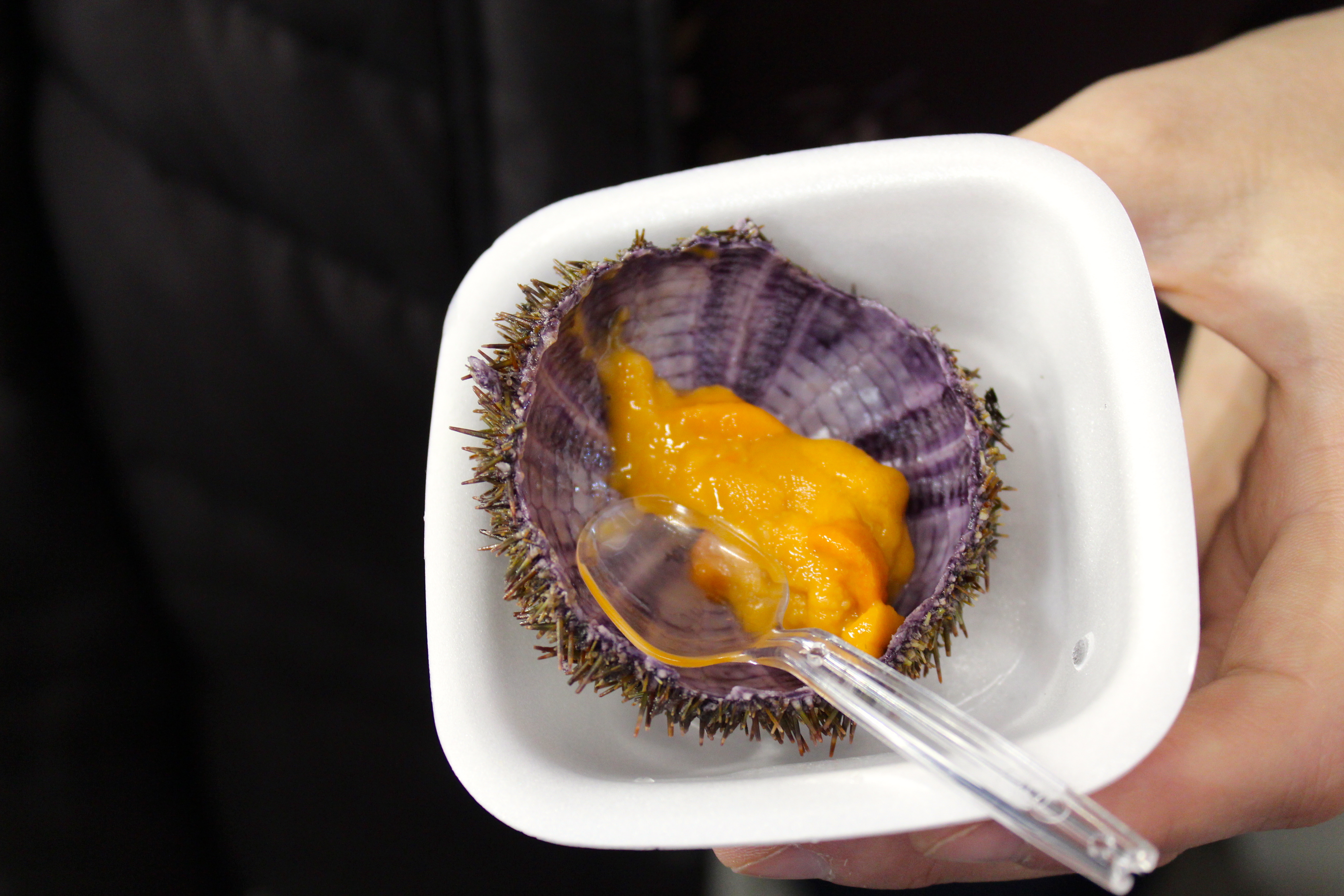 Creamy, rich sea urchin (uni) right out of the beautiful shell!