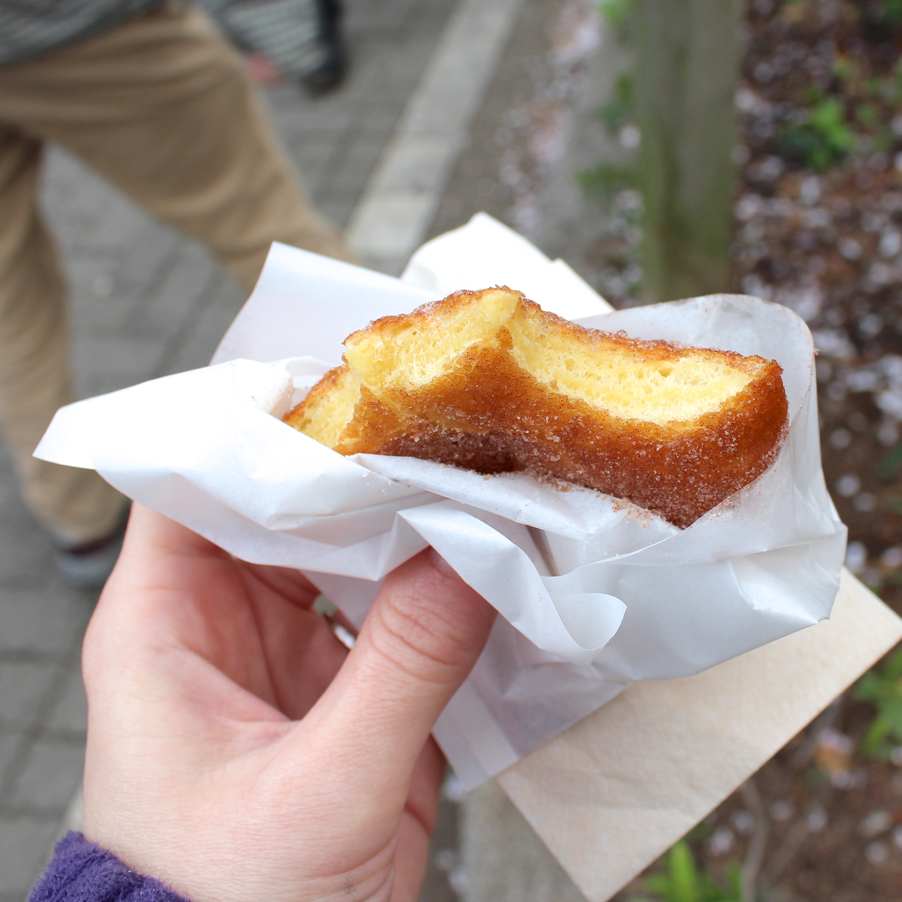 A festival classic anywhere in the world, fried dough! This one had a cinnamon-sugar coating.