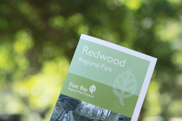 redwood-regional-park (10)