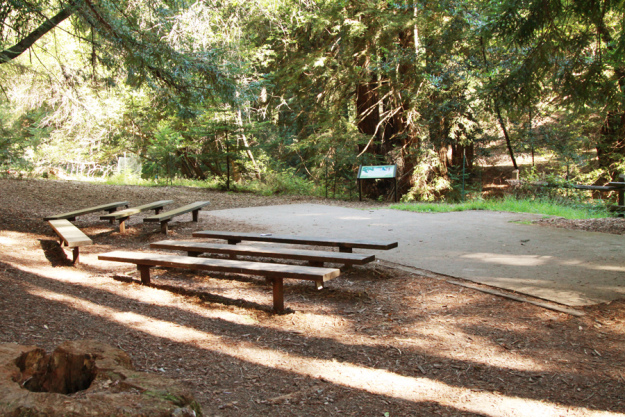 redwood-regional-park (5)