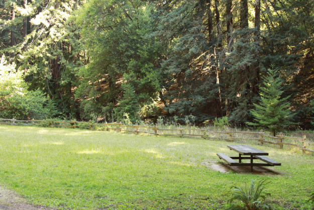 redwood-regional-park (6)