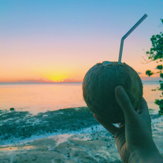 Drinking straight out of a coconut during a Moorea sunset | French Polynesia Travel Guide | Alyssa & Carla