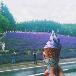 Lavender soft serve in Hokkaido, Japan | Alyssa & Carla